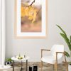 Apricot Autumn Leaves5 Room