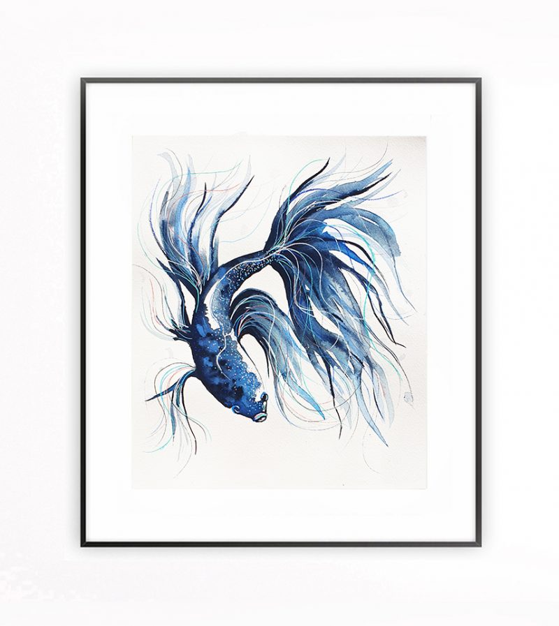 This Blue Betta Fish