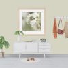 Flannel Flower Study Green Portrait 3 Room