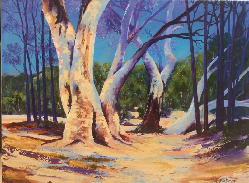 Flinders Ranges gums