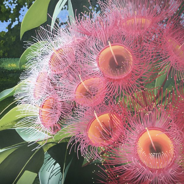 Kim Neil Flowering Gum