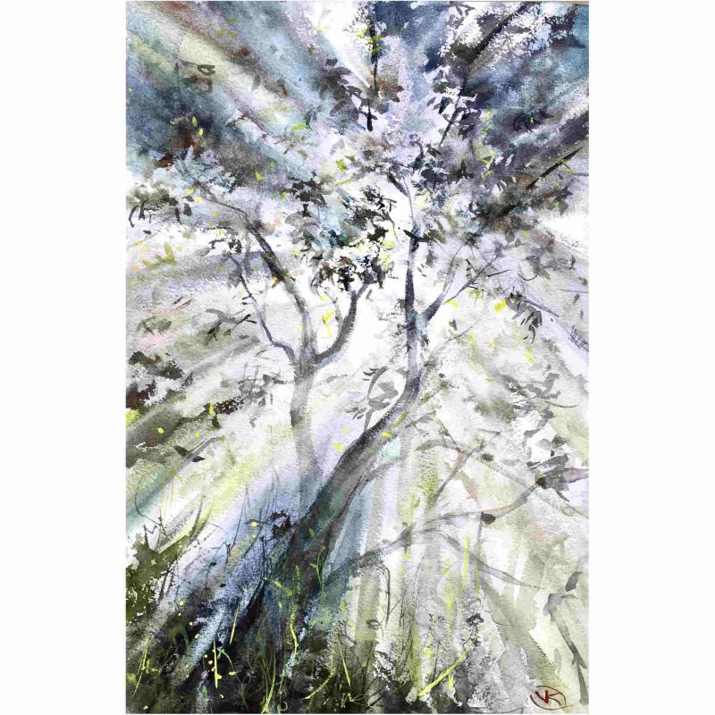 Light in the bush – Original watercolour painting