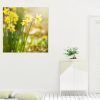 Spring Daffodils Canvas