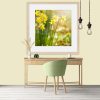 Spring Daffodils Room