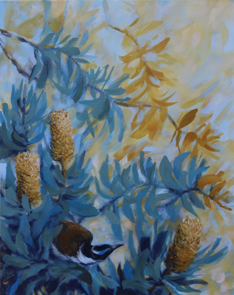 Honey Eater and Coastal Banksias