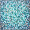 Coastal Pebbles Circle Gradient 100cm X 100cm Miranda Lloyd Artist