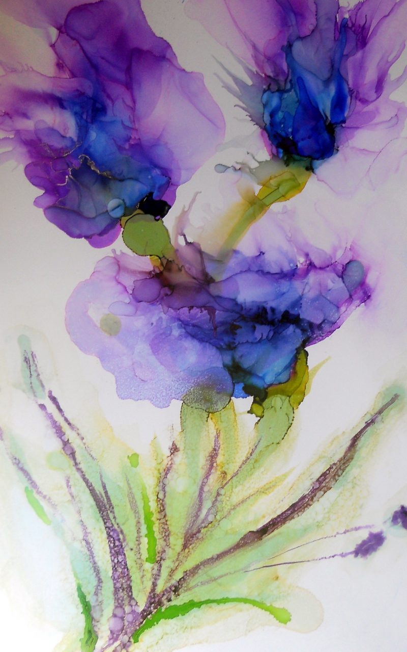 Did I Grow This ?  Ltd Ed Print