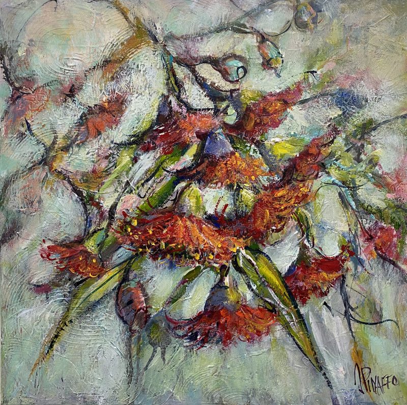 Spring and gumnut blossoms