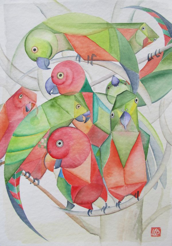 Parrots01