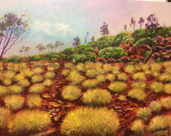 The Grasses Flinders Ranges