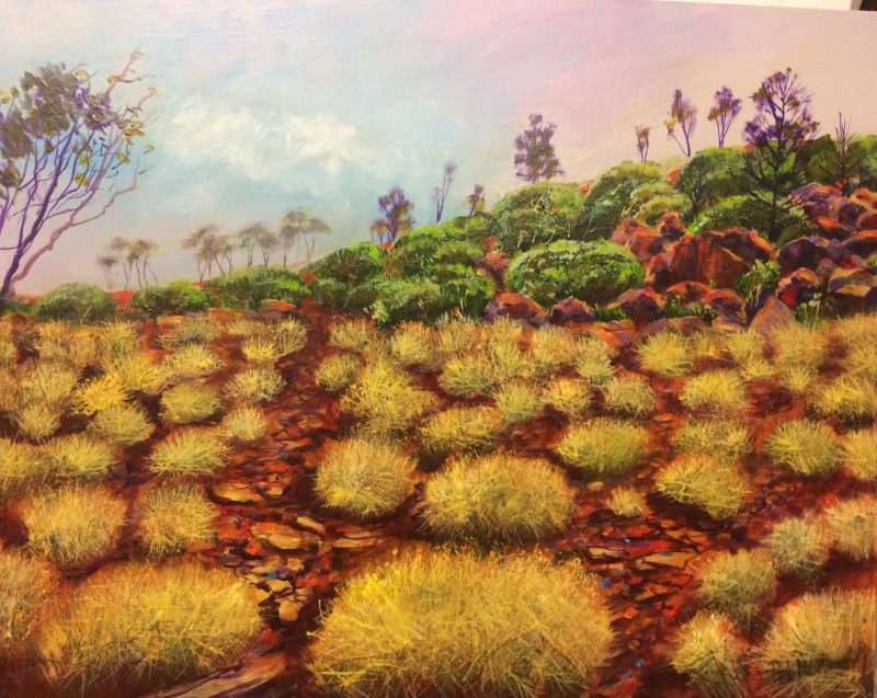 The Grasses Flinders Ranges