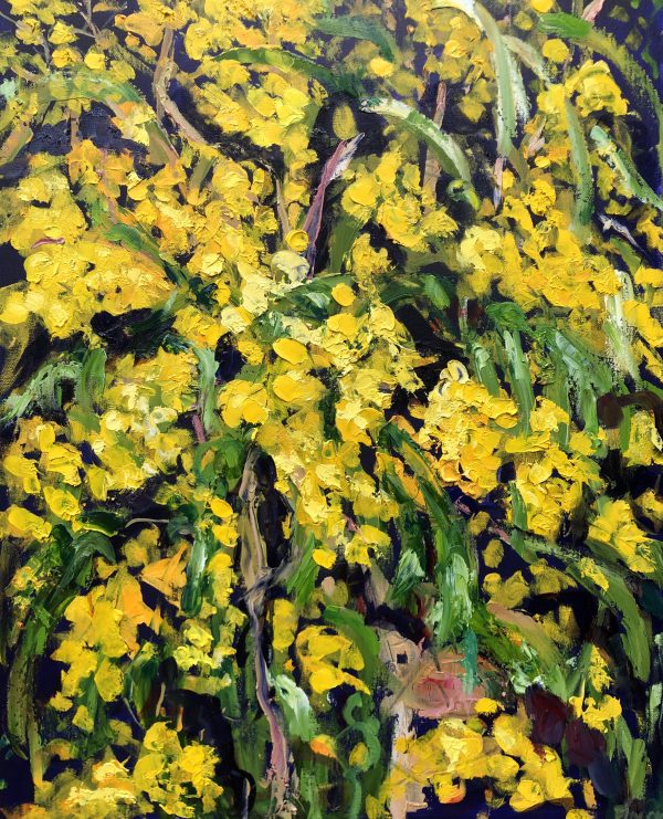 Wattle In The Park Final Absolute