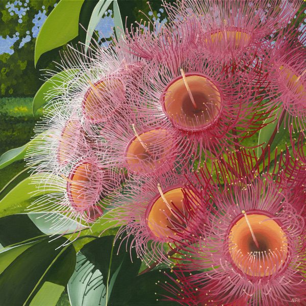 13103 Kim Neil Flower Ff Cf Web