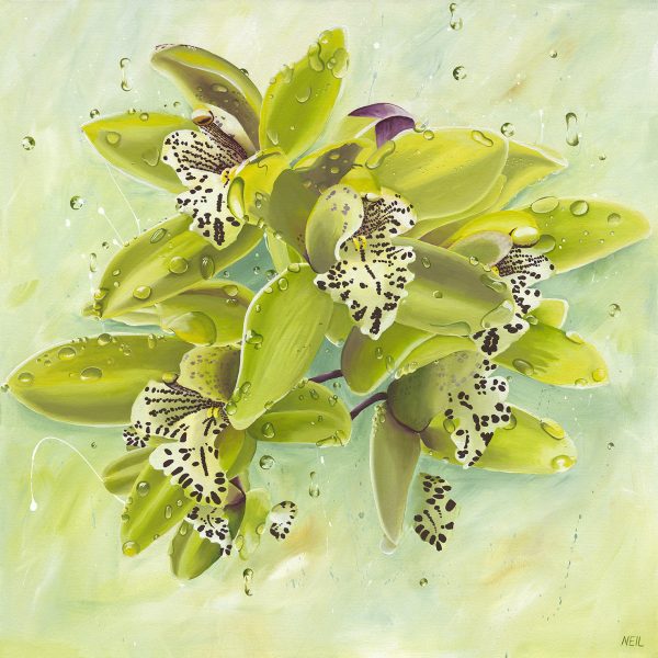 13177 Kim Neil Orchids Ff Web