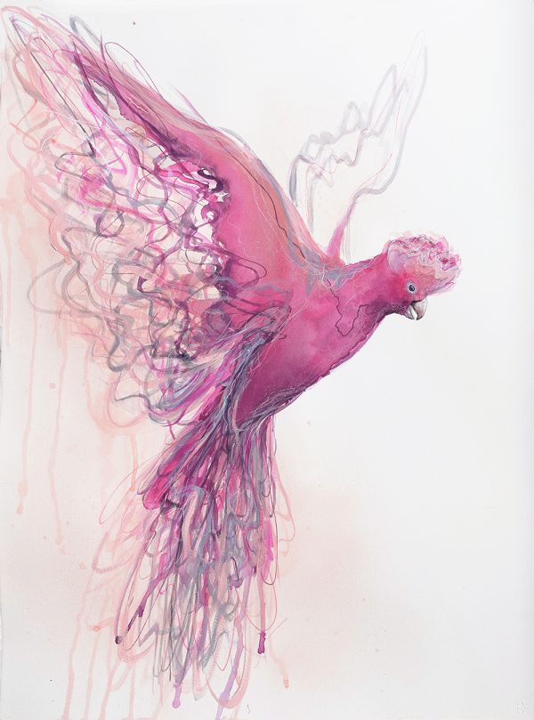 Artist Leni Kae Flight Of The Galah 56x76cm Watercolour Painting 1000px