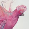 Artist Leni Kae Flight Of The Galah Closeup Watercolou Painting