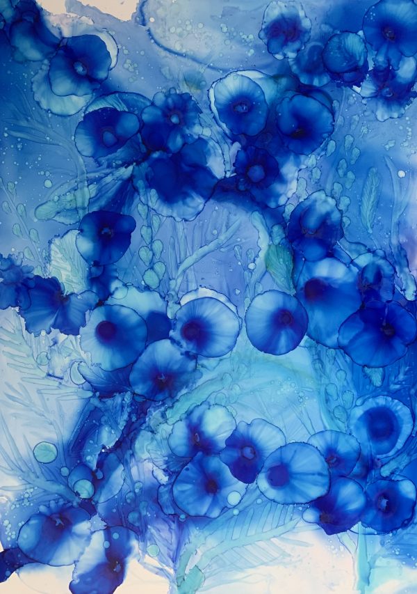 B0af860e 9af9 426f 97be 29be872ed07e