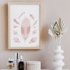 Banksia Blush 3