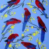Crimson Rosellas In Wattle