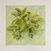 Cymbidium Orchid Print