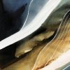 Deepwater Dreaming 1 (details 1)