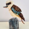 Kookaburra By Susanne Bianchi Side View B