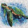 Sue Dowse Blue Water Sea Turtle Primary