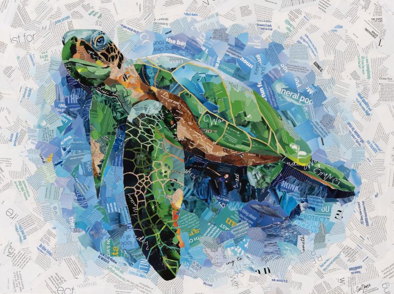 Blue Water Sea Turtle – Original Collage