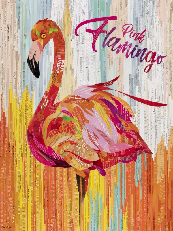 Sue Dowse Flamingo Primary