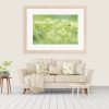 Summer Buds Framed Print