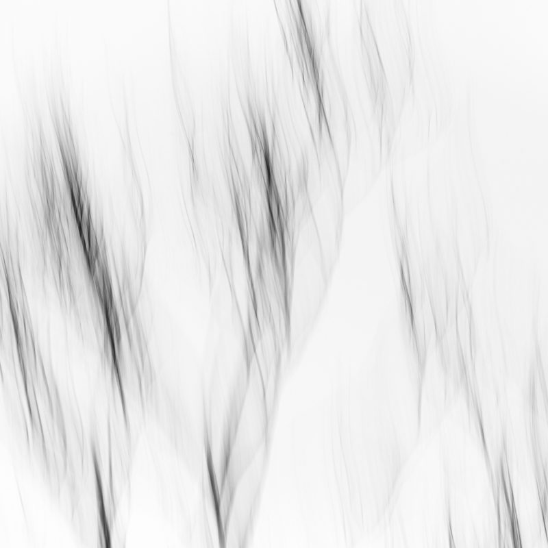 Unfurling — Ltd Ed Print