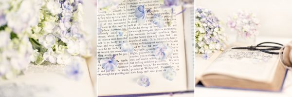 Vintage Hydrangea Triptych