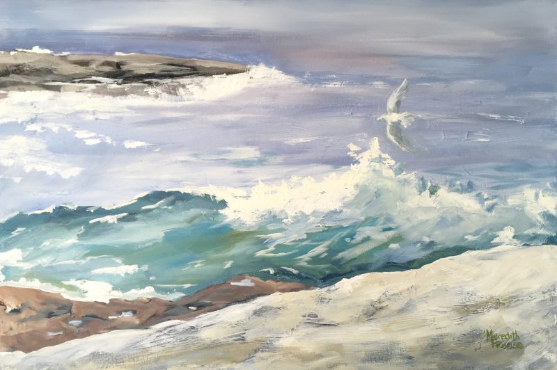 Playing in the Waves at Clovelly