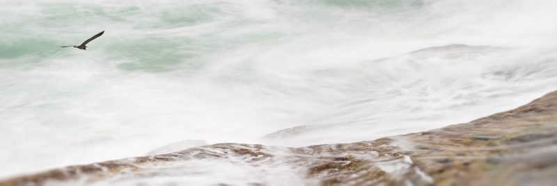 Above the Storm — Ltd Ed Print