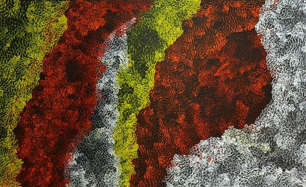 Art Lovers Amanda Dibirdibi Scales 9091 14 Edited