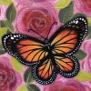 Butterflies Are Free 1