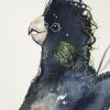 Closeup1 Sydney Artist Leni Kae Call Of The Black Cockatoo Watercolour Art 56x76cm Original Art