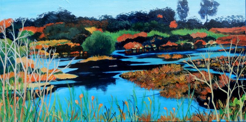 Cooks River Wetland – Finalist Greenway Art Prize