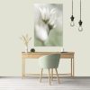 Dreamy Flannel Flowers Canvas Print