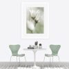 Dreamy Flannel Flowers Wall Art