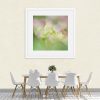 Fresh Hydrangeas Framed Print