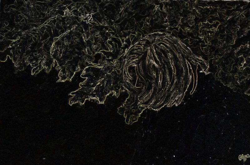 In the Park – Magic Night Ltd Ed Print