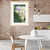 Hydrangea Buds Framed Print