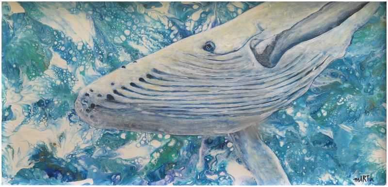 Migaloo – The White Whale