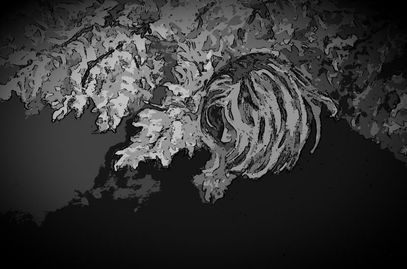 In the Park – Linear Monochrome