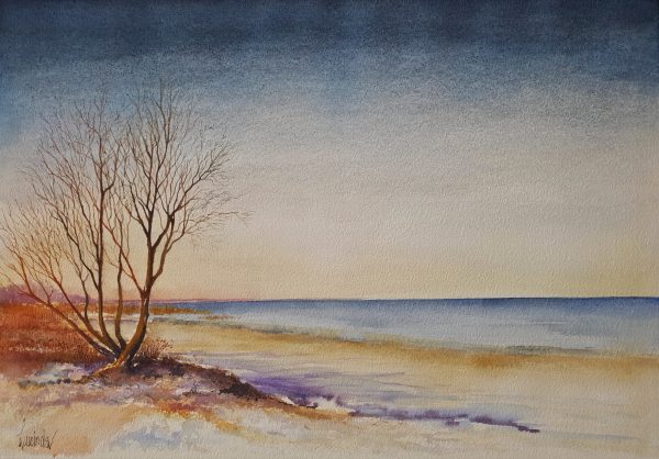 Lucinda Leveille Afternoon Peace
