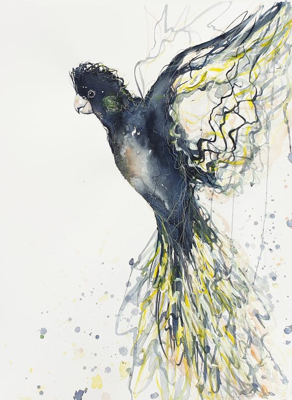 Sydney Artist Leni Kae Call Of The Black Cockatoo Watercolour Art 56x76cm Original Art 1100px