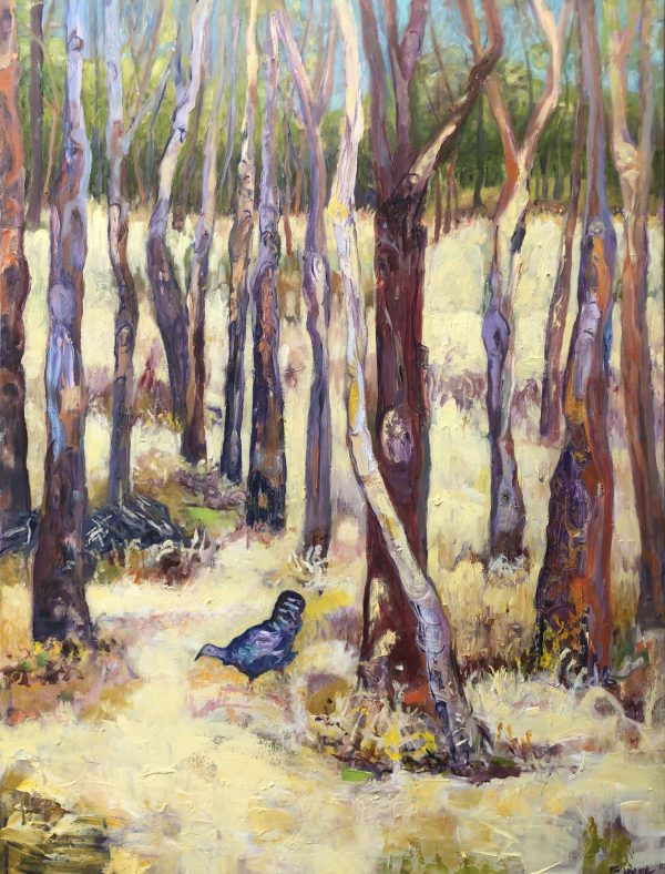 Brush Turkey Kangaroo Island Final