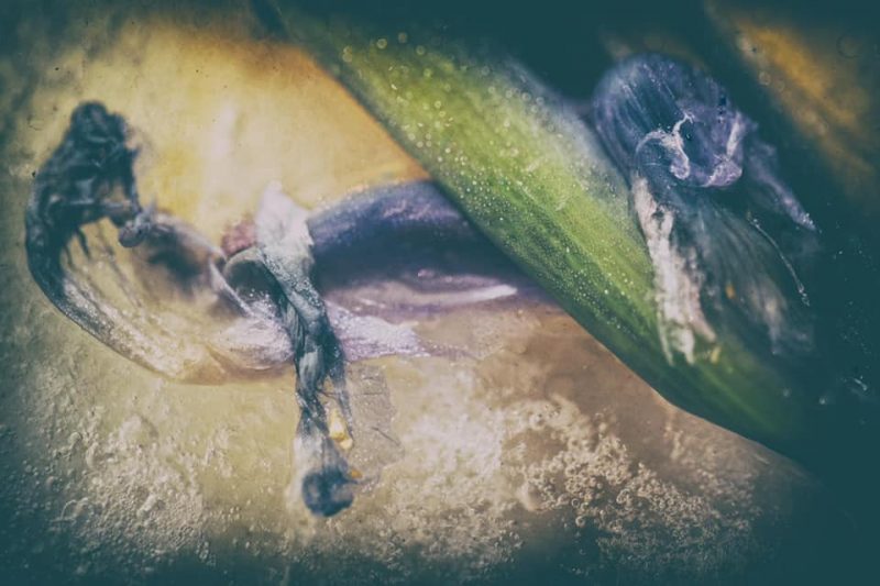 Entwined – Frozen Flower Art – Ltd Ed Print