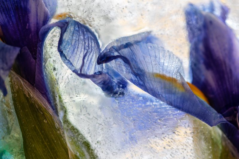 Held together – Below Zero – Ltd Ed Print